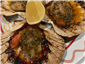 scallops